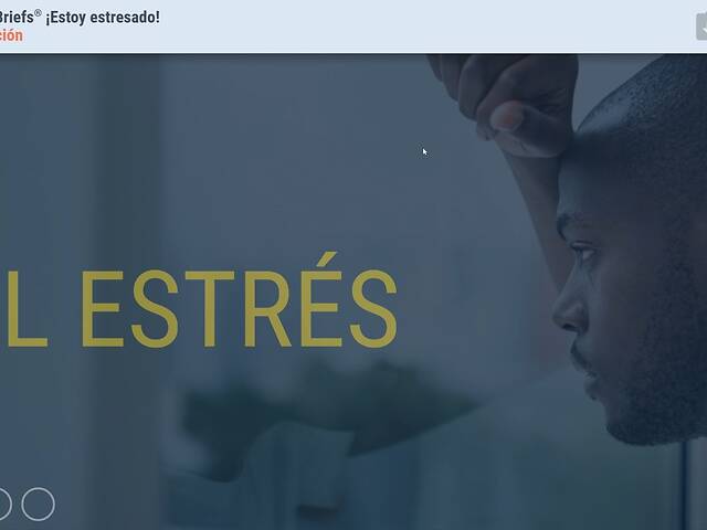 TrainingBriefs® I’m Stressed! (Spanish)